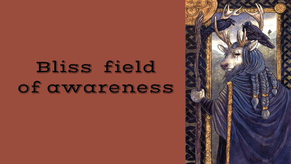 Bliss field of awareness