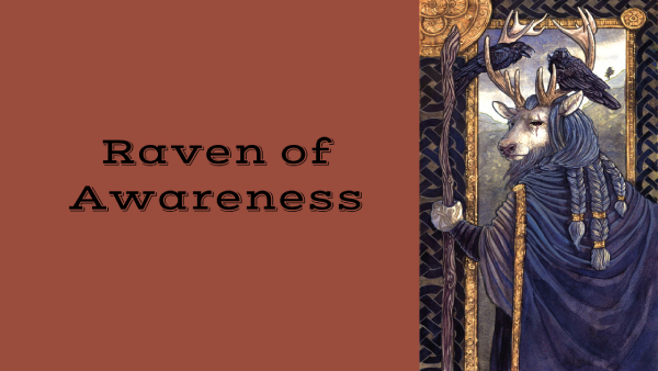 Raven of Awareness